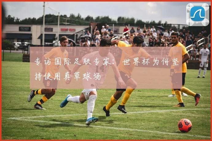 专访国际足联专家：世界杯为何坚持使用真草球场