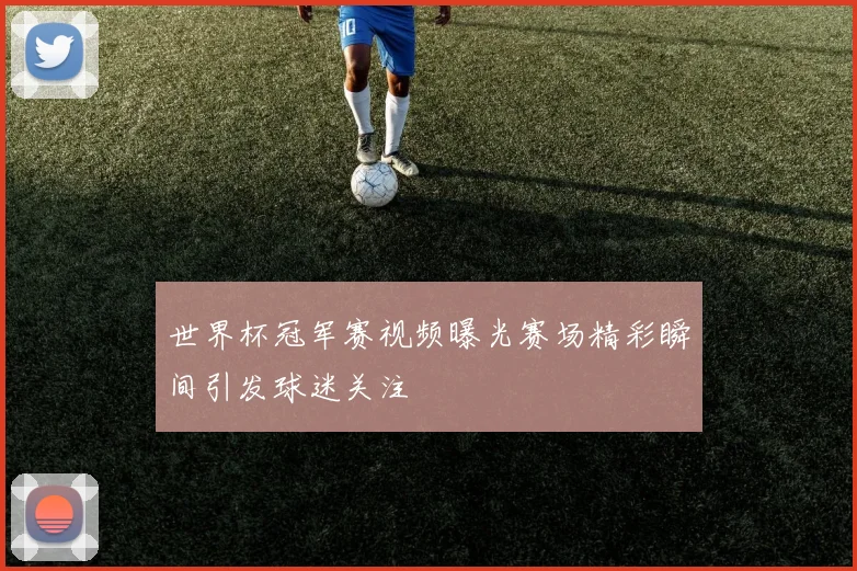 世界杯冠军赛视频曝光赛场精彩瞬间引发球迷关注