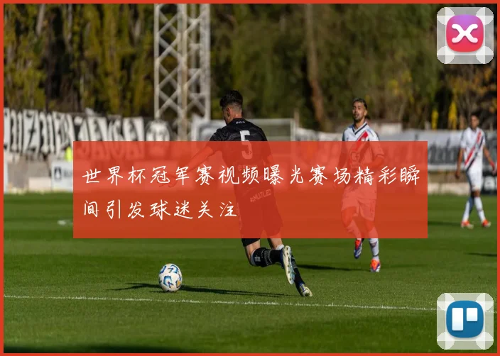 世界杯冠军赛视频曝光赛场精彩瞬间引发球迷关注