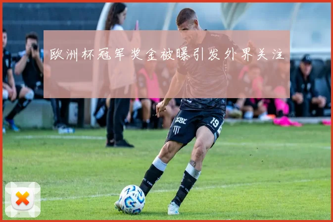 欧洲杯冠军奖金被曝引发外界关注