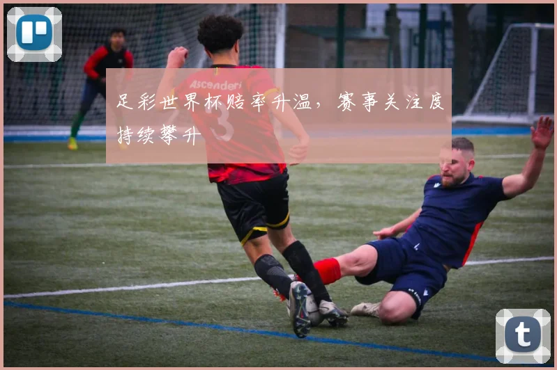 足彩世界杯赔率升温，赛事关注度持续攀升