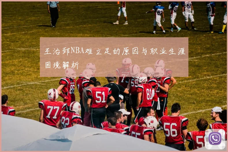 王治郅NBA难立足的原因与职业生涯困境解析